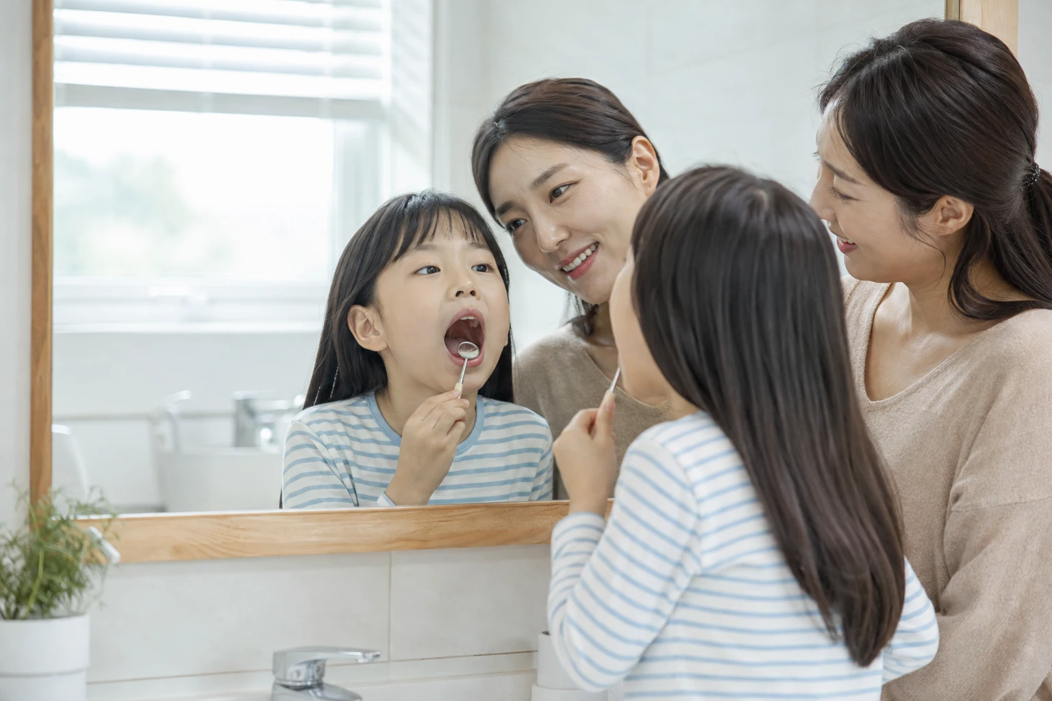 사랑니 나는 시기